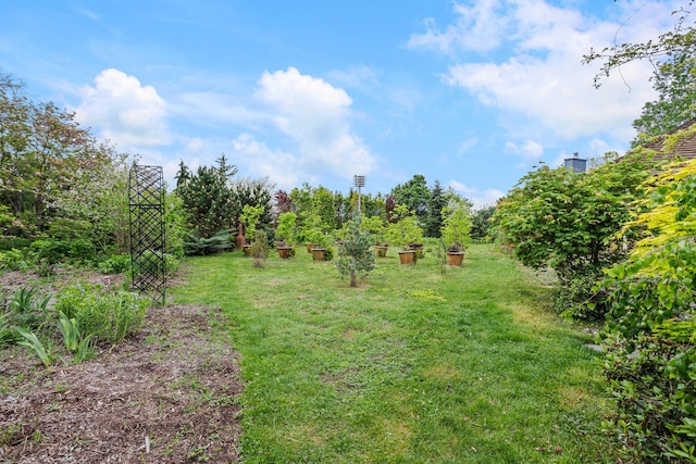 2806 Oakmont Ct, Champaign, IL 61821 - view of green lawn
