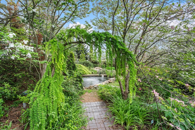 2806 Oakmont Ct, Champaign, IL 61821 - view of yard