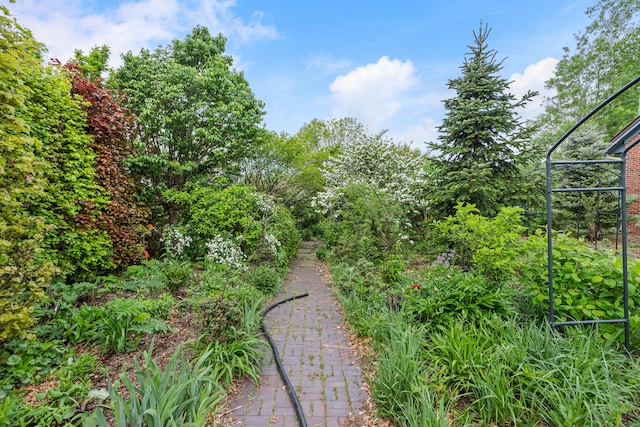 2806 Oakmont Ct, Champaign, IL 61821 - view of yard