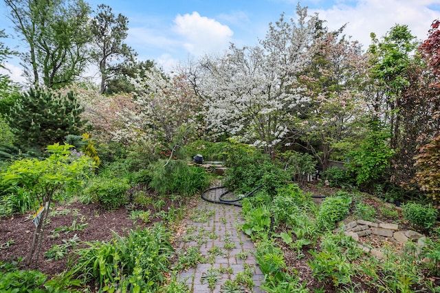 2806 Oakmont Ct, Champaign, IL 61821 - view of yard