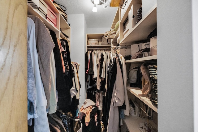 view of spacious closet