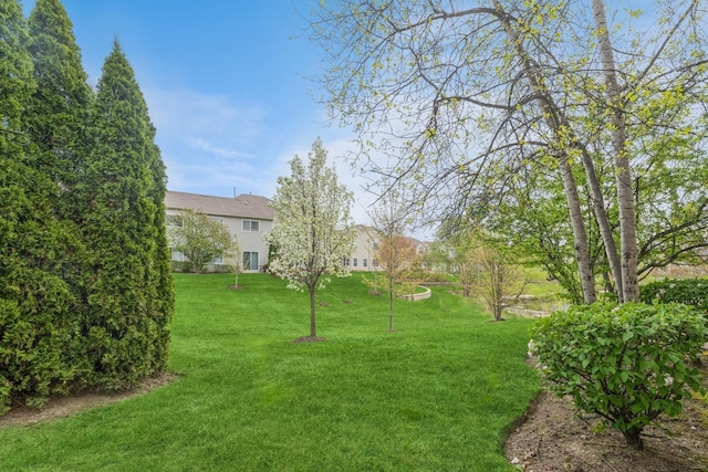 87 E Haines Dr Unit 87, Hainesville, IL 60030 - view of yard