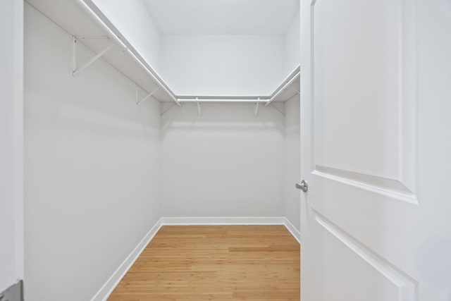 walk in closet featuring light wood-style floors