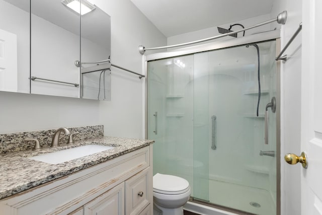 full bathroom featuring toilet, a shower stall, and vanity