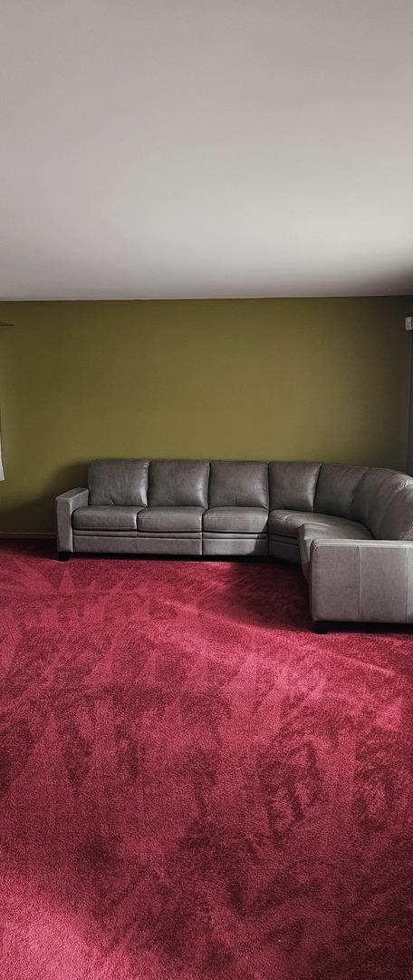 living room with carpet