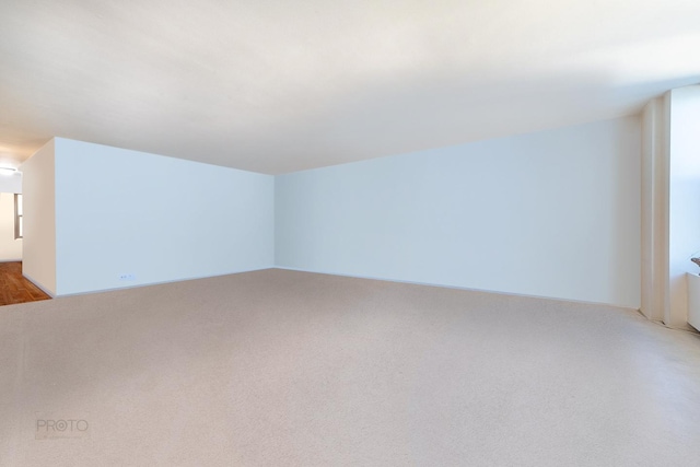 interior space with light colored carpet