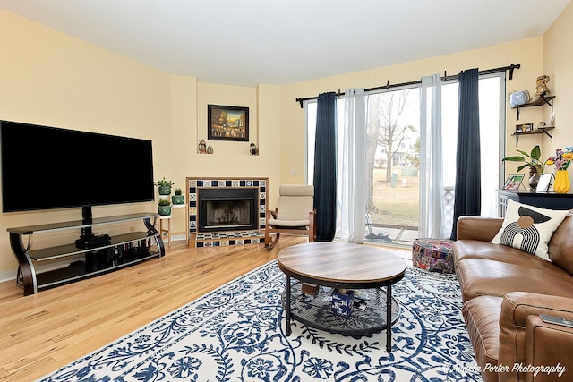 living area featuring a fireplace and wood finished floors