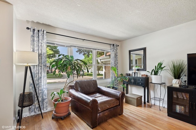 living area featuring a textured ceiling and wood finished floors