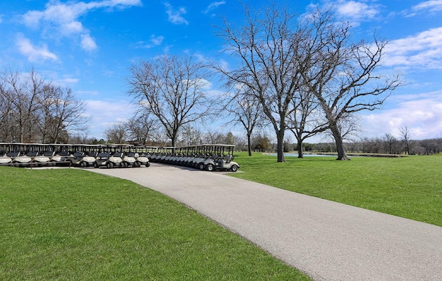 surrounding community with a yard