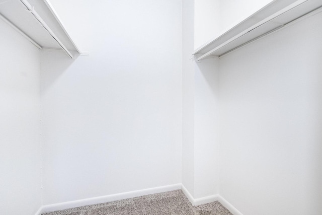 spacious closet featuring carpet floors