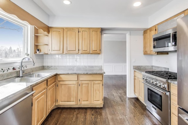 kitchen featuring dark wood finished floors, light brown cabinets, stainless steel appliances, and a sink