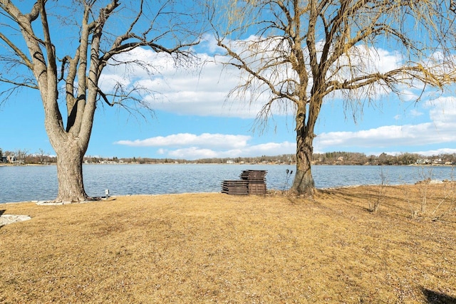 view of water feature