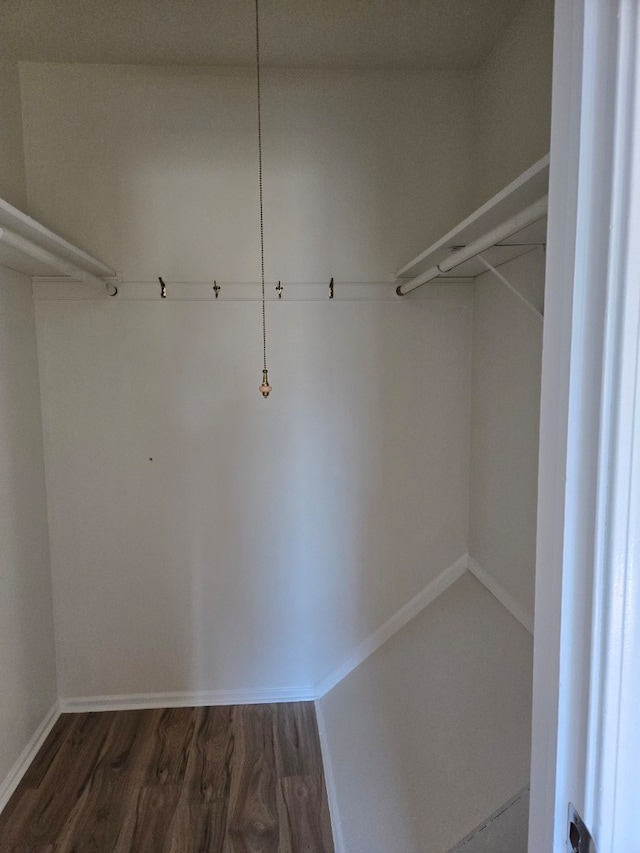 walk in closet featuring dark wood finished floors