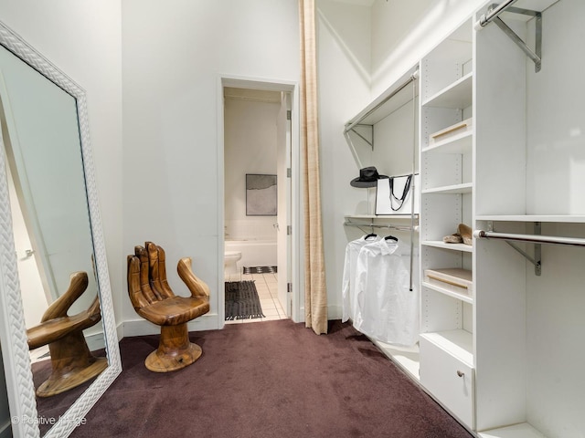 walk in closet with carpet