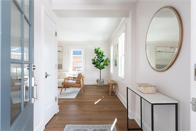 interior space with baseboards and wood finished floors