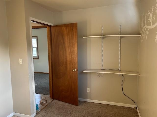 spacious closet with carpet flooring