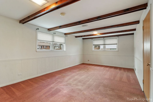 basement with carpet and a wainscoted wall