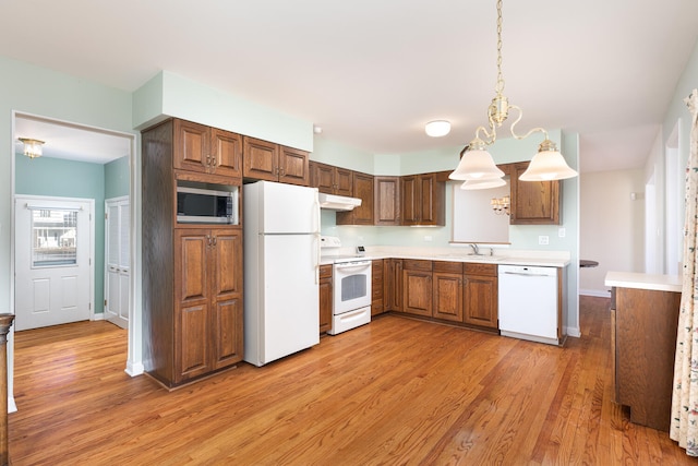 kitchen featuring under cabinet range hood, light countertops, light wood-style flooring, white appliances, and a sink