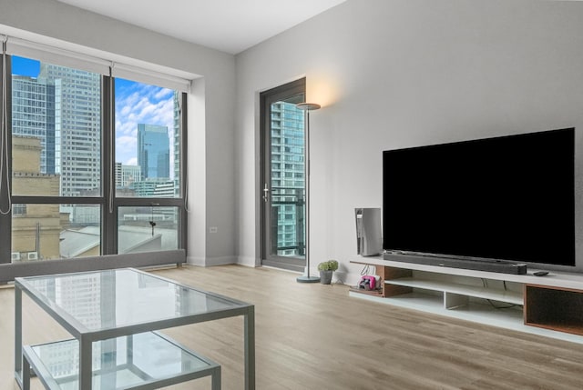 living room with baseboards and wood finished floors