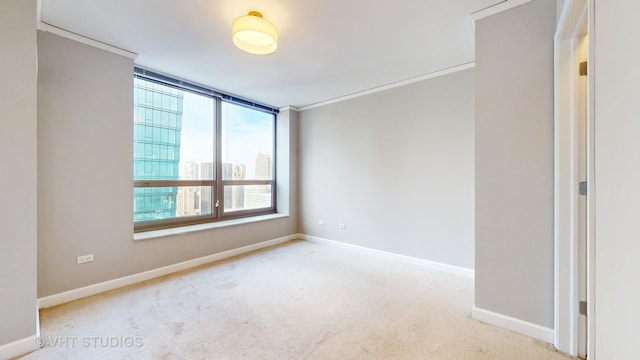 carpeted spare room with crown molding and baseboards