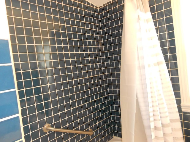 full bath featuring a shower with shower curtain