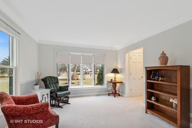 living area with ornamental molding, carpet, and baseboards