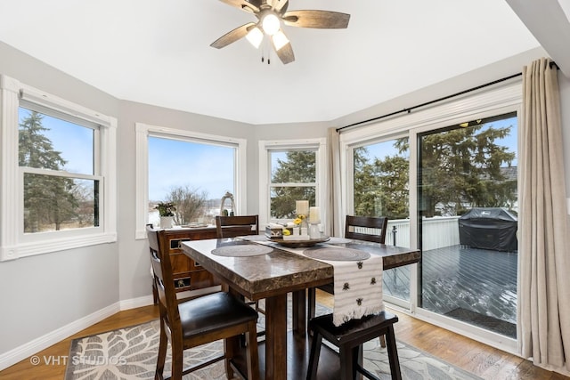 dining space featuring light wood finished floors, plenty of natural light, baseboards, and ceiling fan