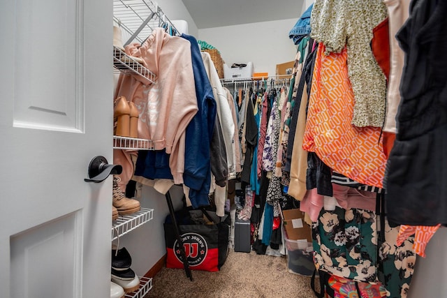 view of spacious closet