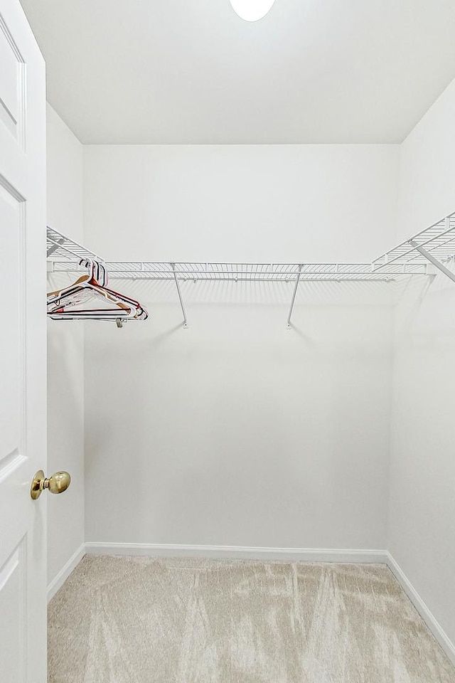 spacious closet featuring light colored carpet