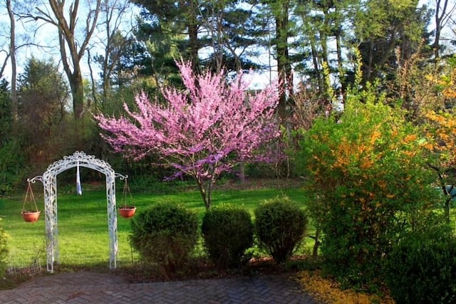 view of property's community with a lawn