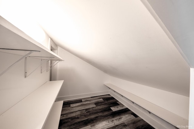 spacious closet with lofted ceiling and dark wood-style floors