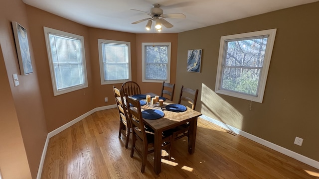 dining room with ceiling fan, light wood finished floors, a wealth of natural light, and baseboards