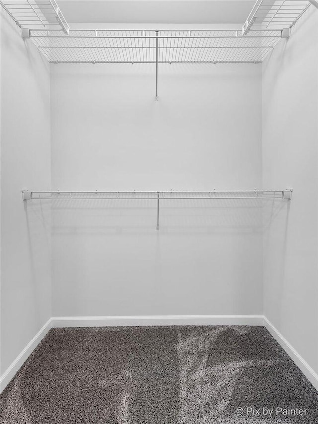 spacious closet featuring carpet floors