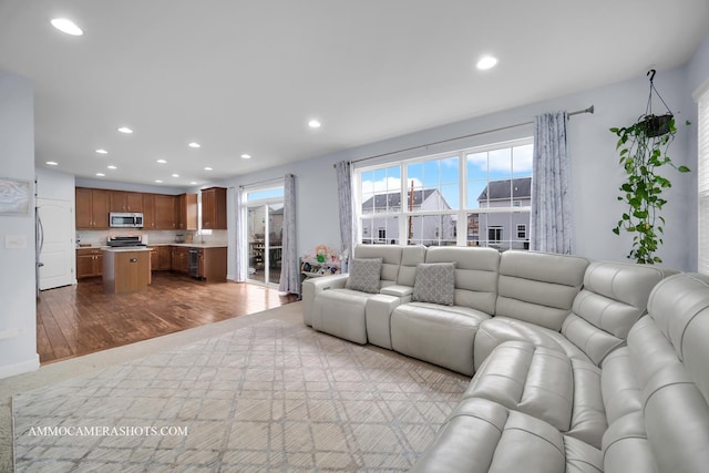 living area with wood finished floors and recessed lighting