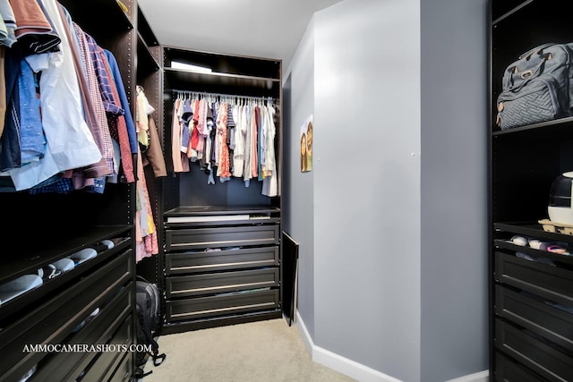 walk in closet featuring carpet