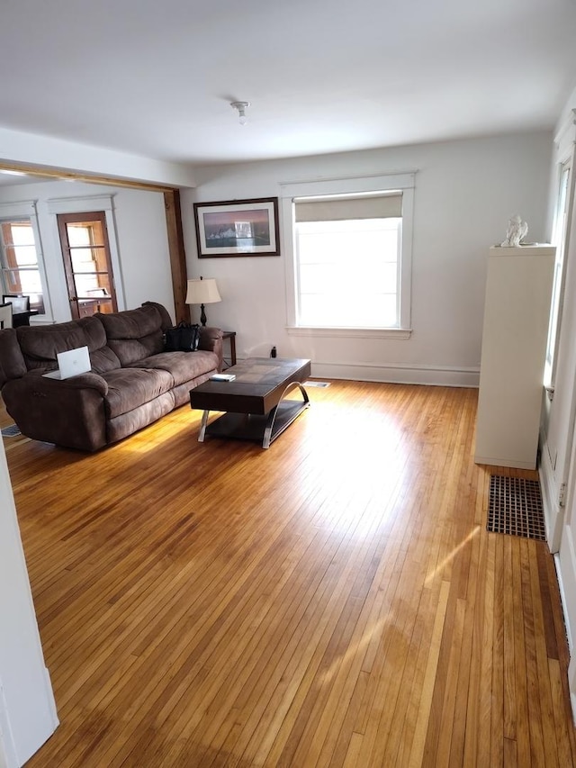 living room with wood-type flooring and a wealth of natural light