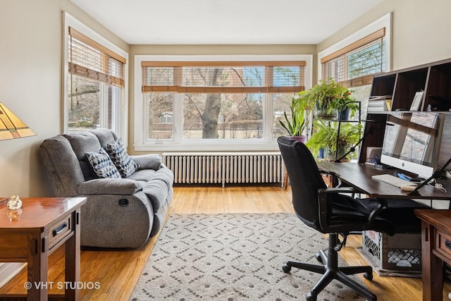 office area featuring wood finished floors and radiator