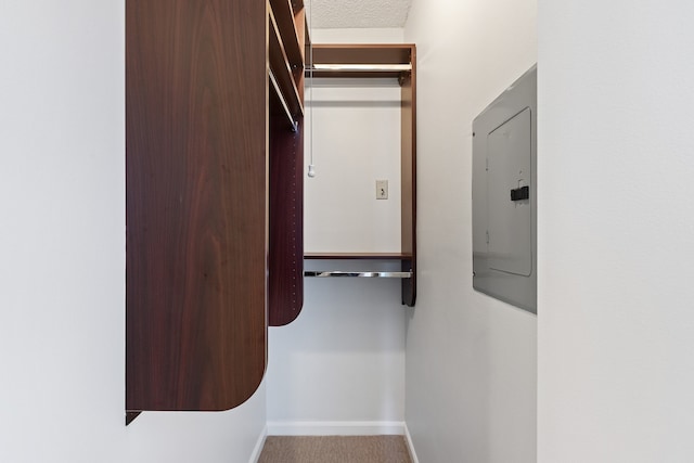 spacious closet featuring electric panel and carpet