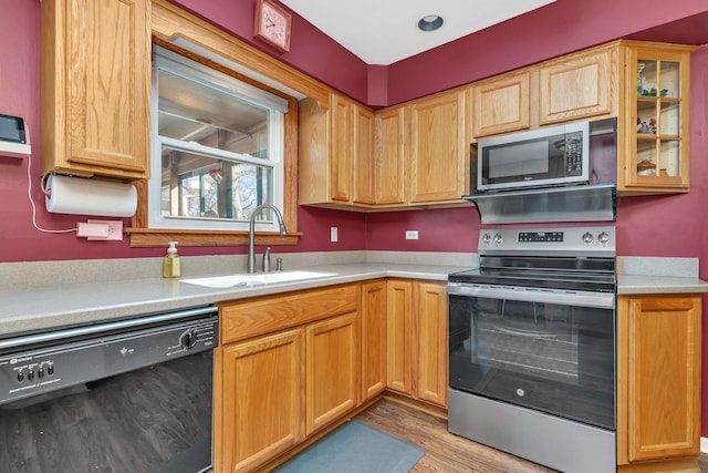 kitchen featuring glass insert cabinets, appliances with stainless steel finishes, light countertops, light wood-style floors, and a sink