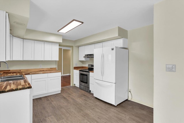 604 Park Lane Dr, Champaign, IL 61820 - kitchen with freestanding refrigerator, electric stove, under cabinet range hood, a sink, and wooden counters