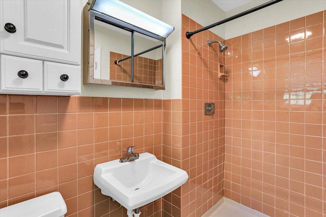 604 Park Lane Dr, Champaign, IL 61820 - bathroom featuring a tile shower, a sink, and toilet