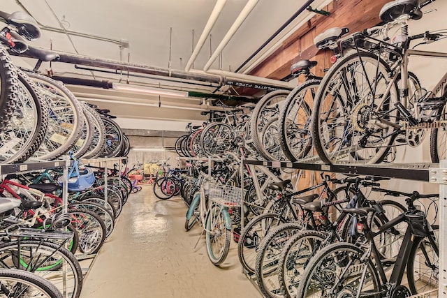 garage with bike storage