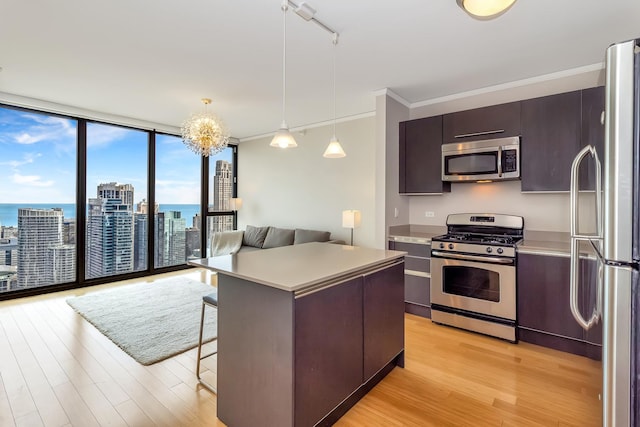 kitchen with appliances with stainless steel finishes, a view of city, crown molding, light wood-type flooring, and floor to ceiling windows