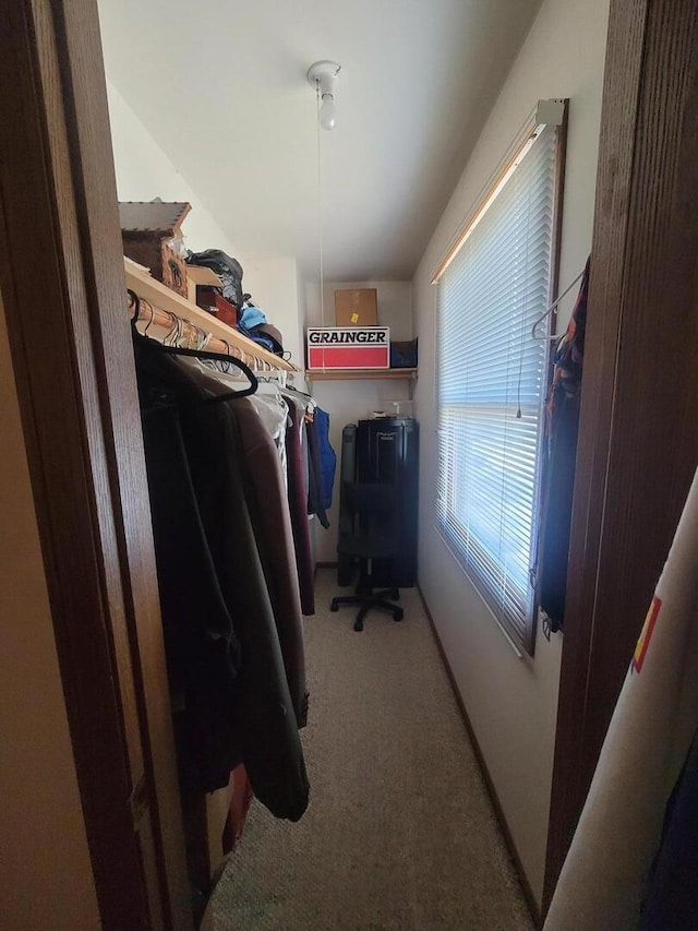 spacious closet with carpet floors