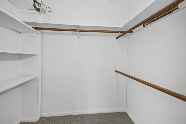 spacious closet with carpet floors