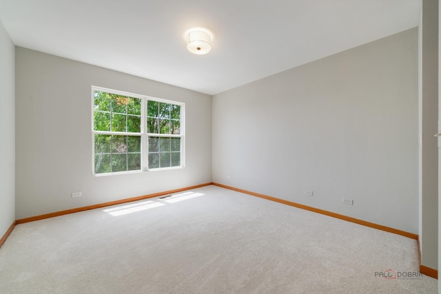 1061 Chadwick Dr, Grayslake, IL 60030 - spare room with carpet flooring