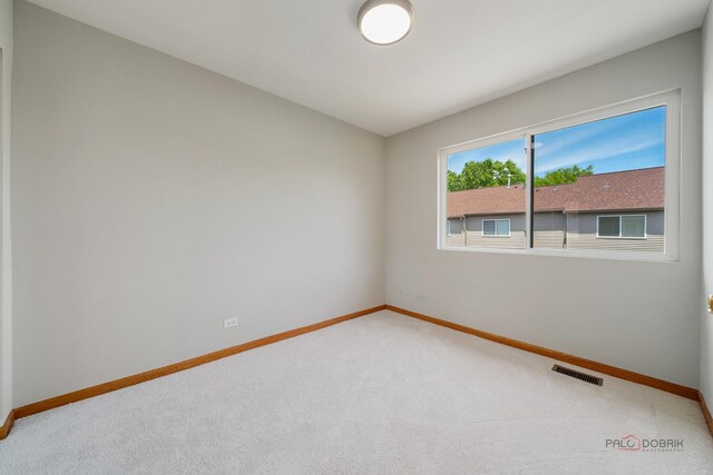 1061 Chadwick Dr, Grayslake, IL 60030 - unfurnished room with carpet floors