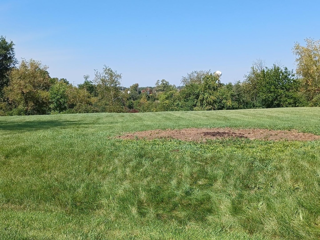 view of landscape featuring a view of trees