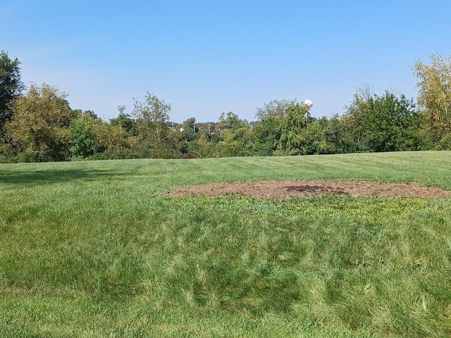 view of landscape featuring a view of trees