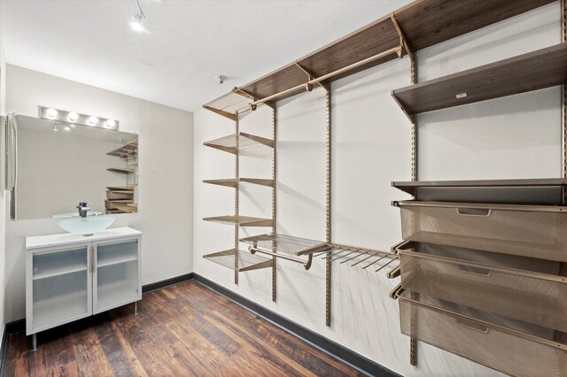 spacious closet with dark wood-type flooring and a sink